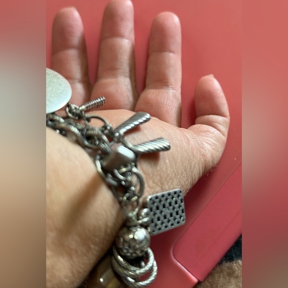 Silver and Brown Charm Bracelet - Picture 5 of 8